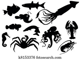 וקטור, -, חיות ימיות, צלליות