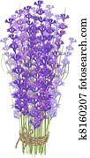 Bouquet of lavender Bouquet of lavender