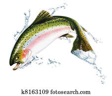 fish, לקפוץ, out, של, ה, water,, עם, כמה, splashes.