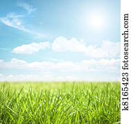 gramado, paisagem, em, verão