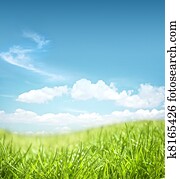 Grassland landscape Grassland landscape