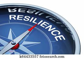 resilience resilience