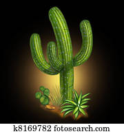 קקטוס, עזוב צמח