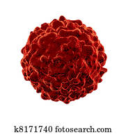 Cancer cell Cancer cell