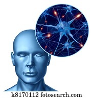 Human intelligence with active neurons