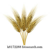 Wheat design Wheat design