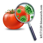 בטיחות של אוכל