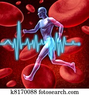 קרדיוווסקולארי, מחזור