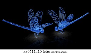 Dragonfly Dragonfly