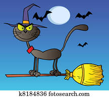 cat on a broomstick