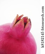 Rosh Hashanah Rosh Hashanah