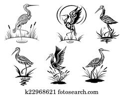 Stork, heron, crane and egret birds Stork, heron, crane and egret birds