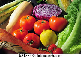 Variety of Fresh Vegetables