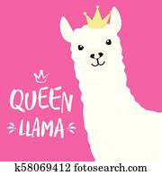 White llama with lettering. queen llama White llama with lettering. queen llama
