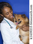 Woman veterinarian holding dog.