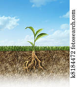 חתך לרוחב, של, לכלך, עם, דשא, ו, a, צמח ירוק, ב, ה, middle,, עם, שלו, roots.