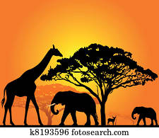 African animals