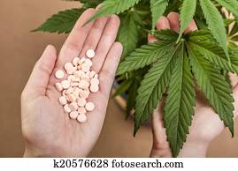 cannabis, e, medicina