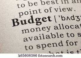 definition of budget