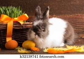 easter bunny easter bunny