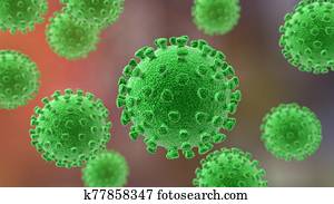 Novel Wuhan coronavirus Novel Wuhan coronavirus