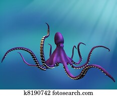 Octopus Octopus