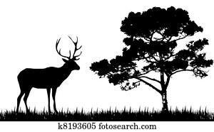 silueta, de, veado, e, árvore