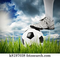 Soccer ball Soccer ball