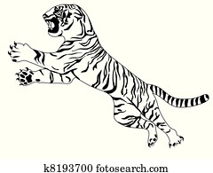 White tiger White tiger