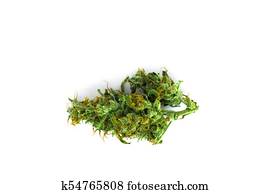 cannabis, broto, vista superior, isolado, branco, fundo