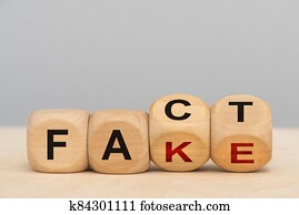 fact and fake printed on wooden cubes fact and fake printed on wooden cubes