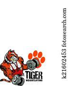 tiger weightlifting tiger weightlifting