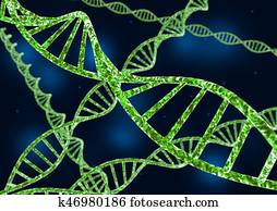 DNA DNA