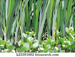 marsh pattern marsh pattern