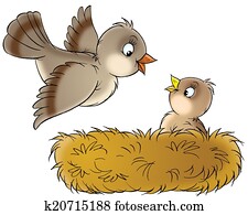 Nest Nest