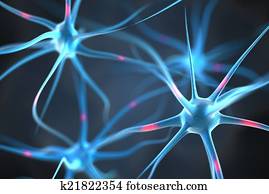 neurons, 中に, ∥, 脳