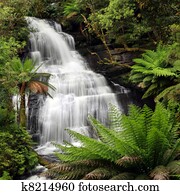 Rainforest Waterfall Rainforest Waterfall