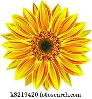vector sunflower vector sunflower