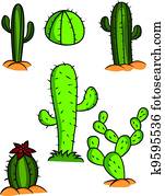 Cactus Collection Cactus Collection