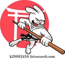 karate, kanin