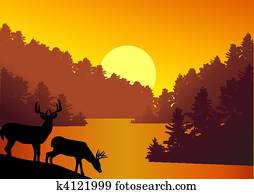 natur, hintergrund natur, hintergrund