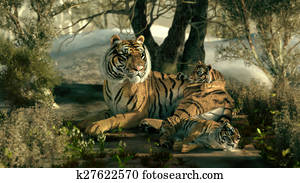 Siberian Tiger Family, 3d CG Siberian Tiger Family, 3d CG