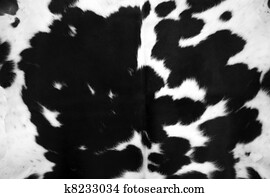 Black Cowhide