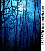 dark forest dark forest