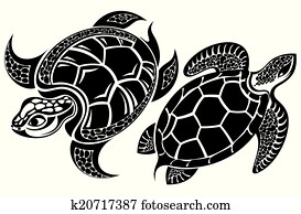 Turtle Turtle