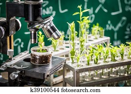 Academic laboratory testing of pesticides on plants