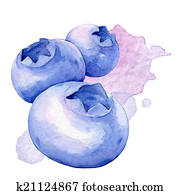 Blueberries. Watercolor illustration