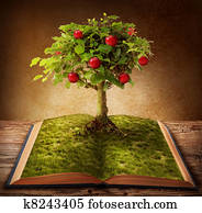 Book of knowledge Book of knowledge
