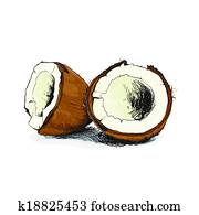 coconut coconut