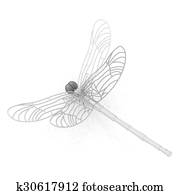 Dragonfly Dragonfly